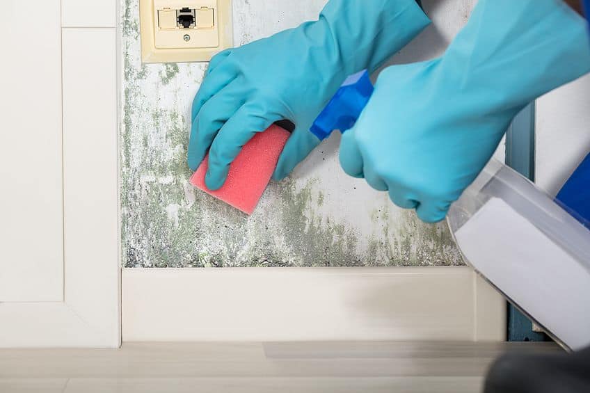 How to Clean Mold Off Wood