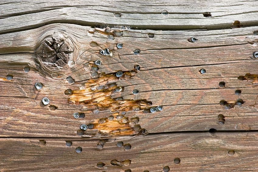 Wood Distressing Techniques