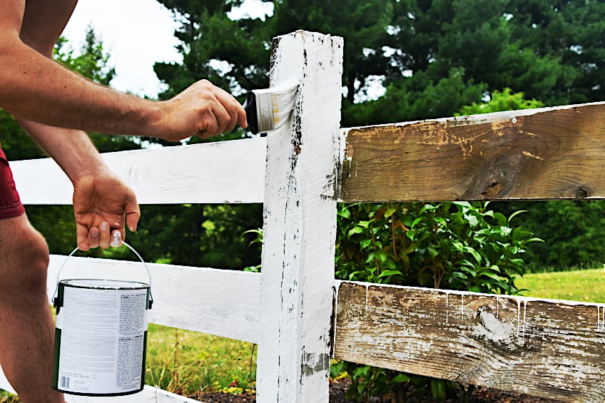 Oil Paint for Wooden Fence