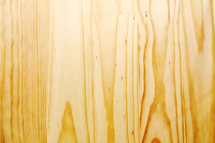 Pine Wood Grain and Color