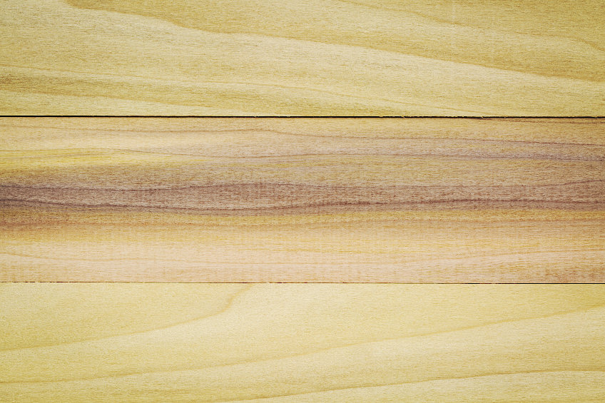 Poplar Wood Grain and Color