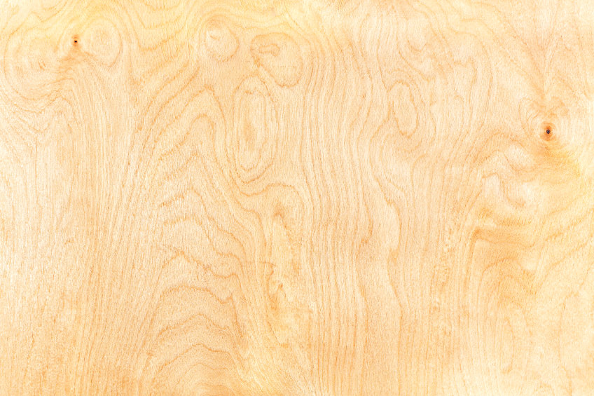 Unstained Birchwood