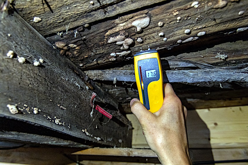 Excess Moisture Rots Wood