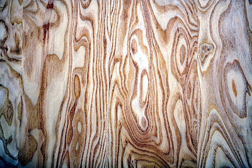 Knots in Acacia Wood Board