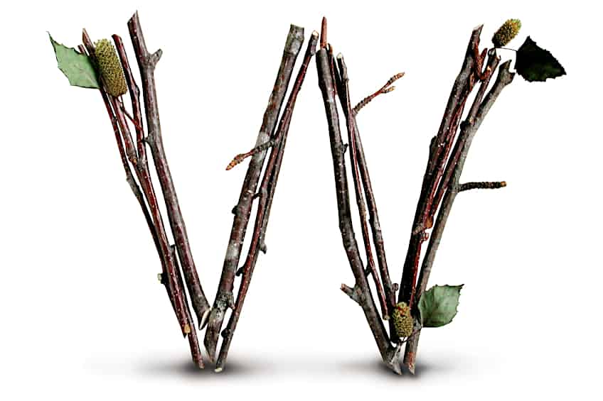 Letters Made from Sticks