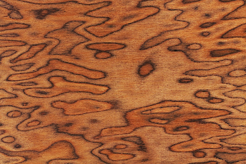 Walnut Burl Pattern