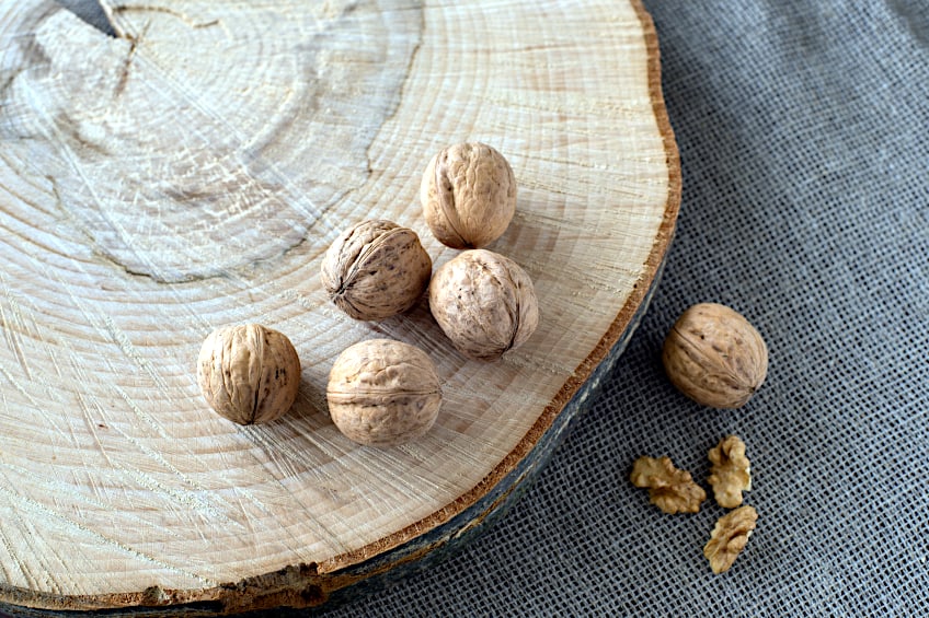 Walnut Wood is Rot-Resistant