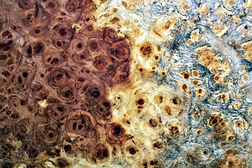 Wood Burl Pattern and Color Variation