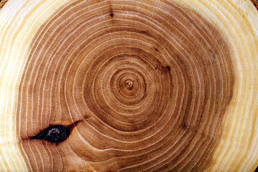 Ashwood Lumber