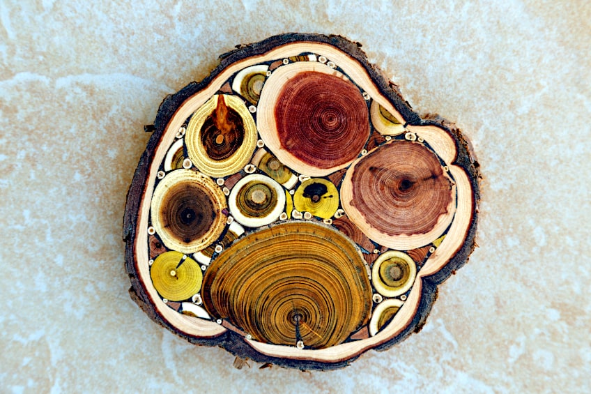 Large Wood Slice Placemat