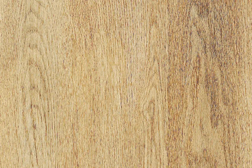 Maple Wood for Desktop