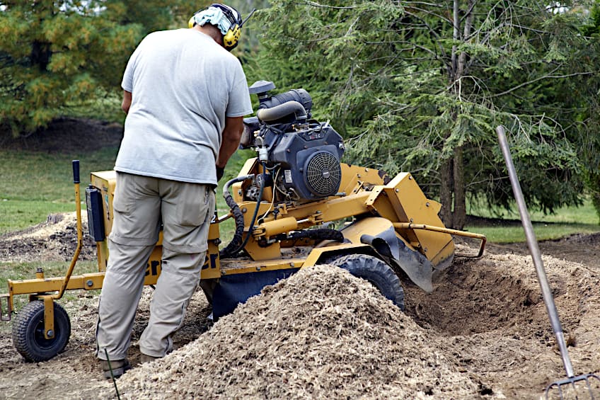 How to Use a Tree Stump Grinder