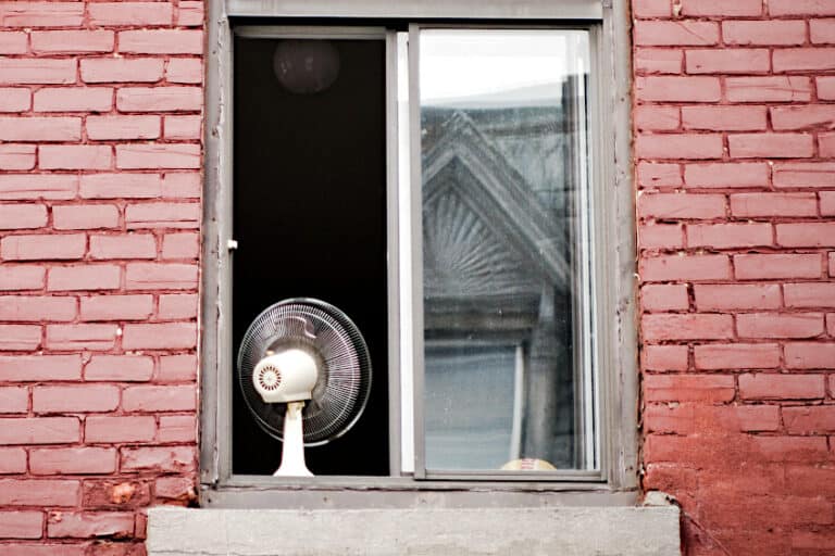 How to Use Boiled Linseed Oil FastDrying Flax Oil Applications