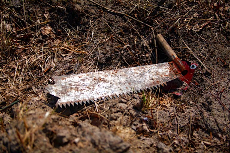 Hardest Wood in the World Top Scoring Janka Scale Timber