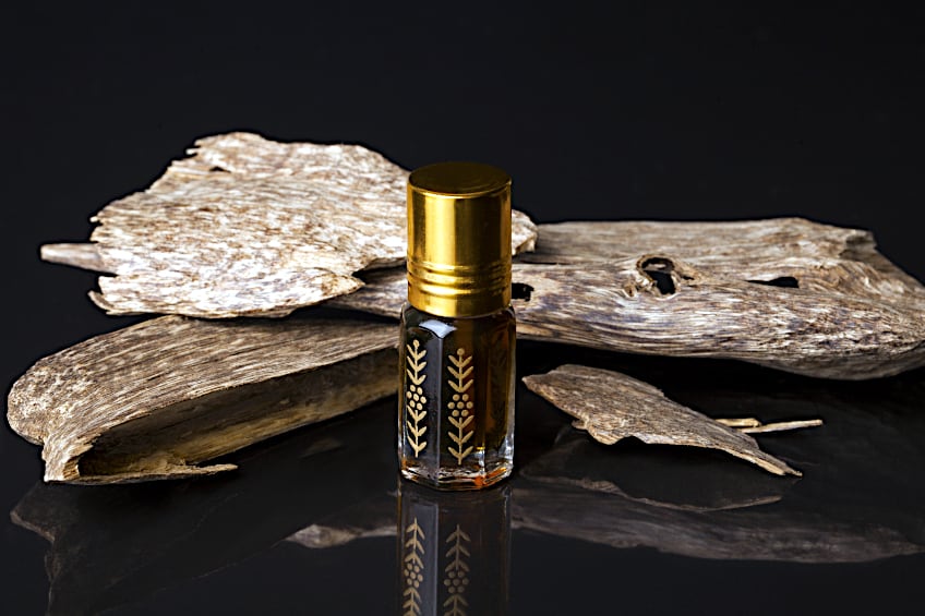 Agarwood is Rare and Expensive