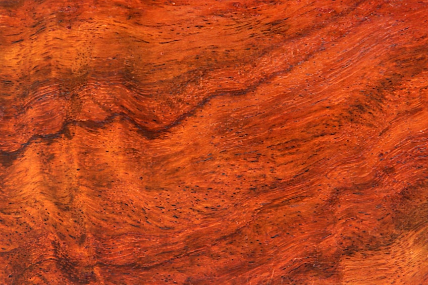 Dalbergia Wood Grain and Color