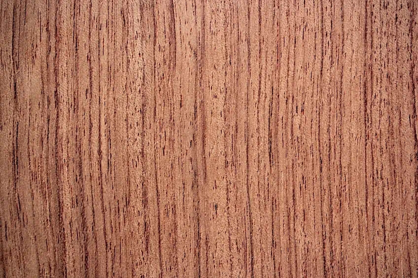 Stain Penetrates Pores in Wood