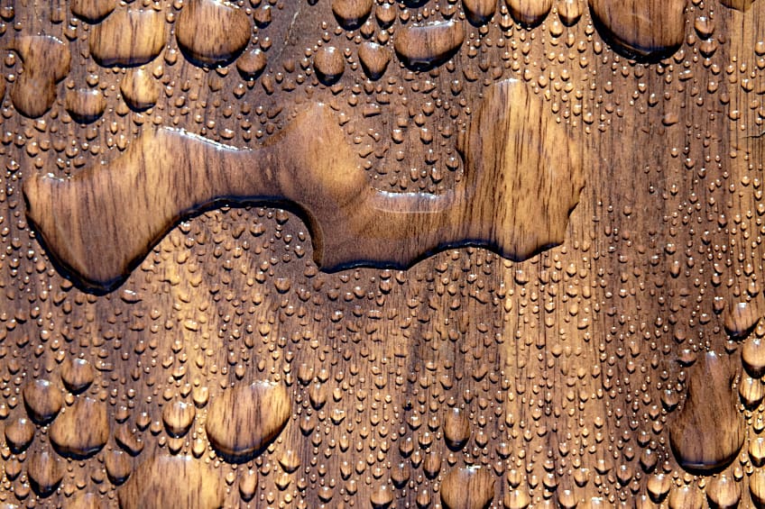 Water Raises Wood Grain