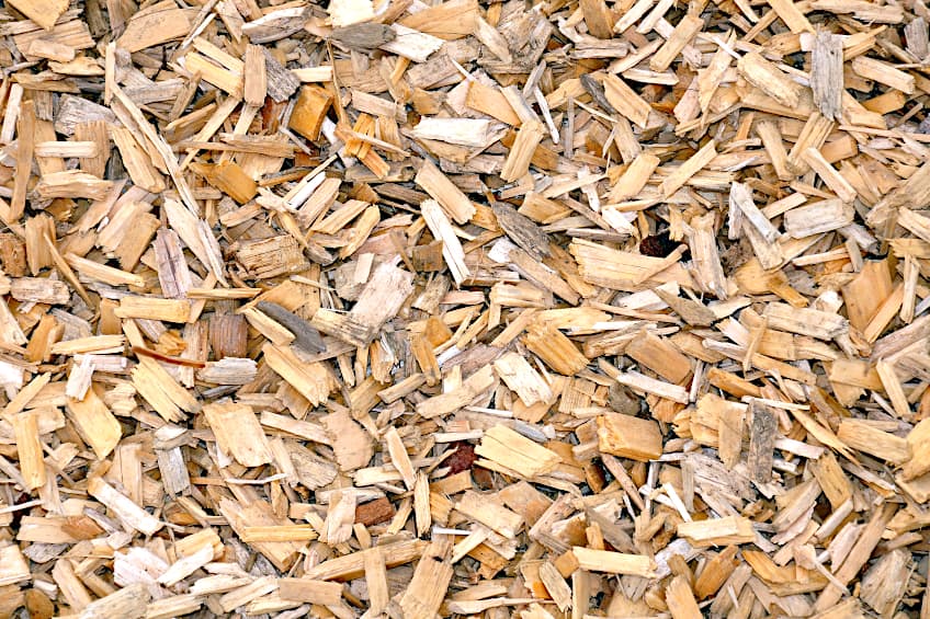 Wood Chips for Making Particle Board