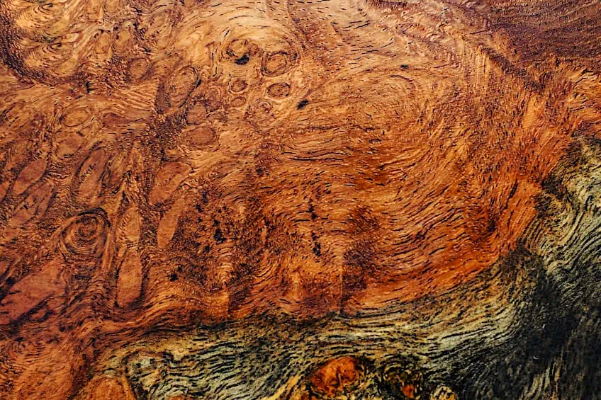 Cypress Burl Wood Luxury Cutting Board