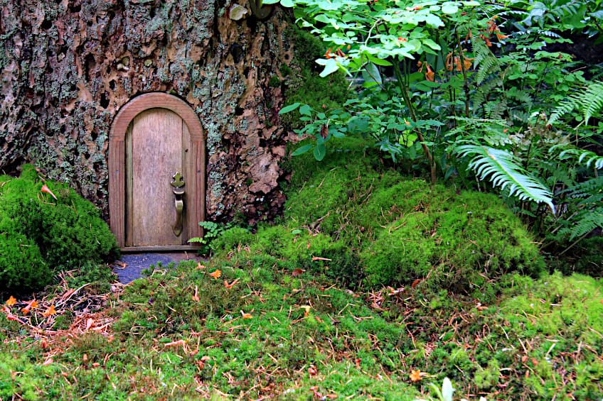 Tree Stump Fairy house Idea