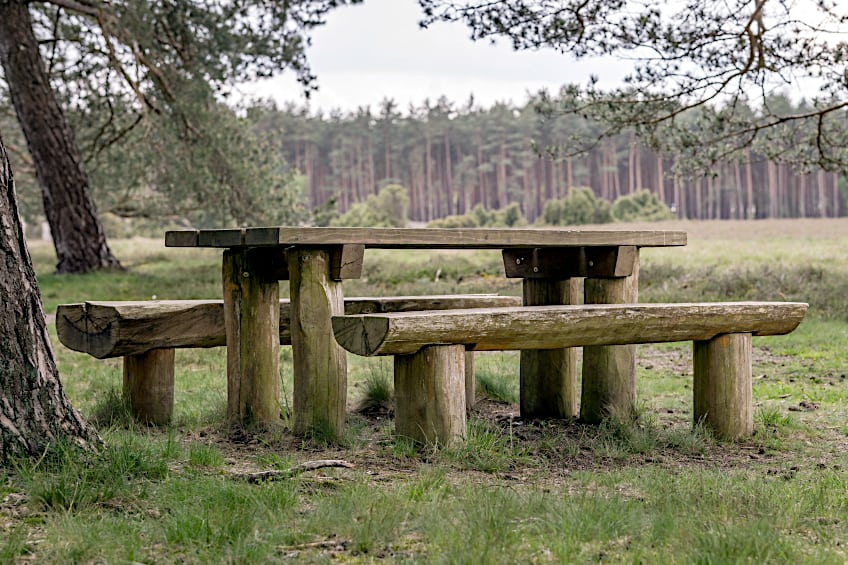 Tree Stump Outdoor Furniture Idea