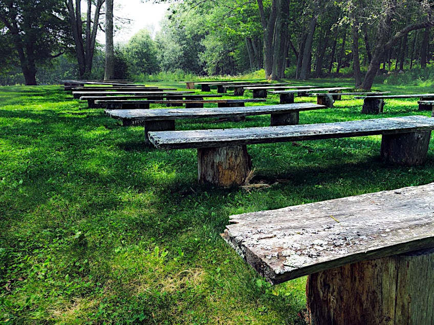 Uses for Tree Stumps