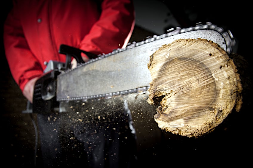 Cut Wood to Size for Carving