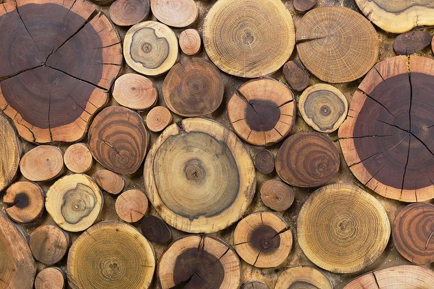 Where to Buy Wood